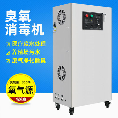 depuratore di acqua del generatore dell'ozono dell'attrezzatura di disinfezione dell'acqua 1000g/H
