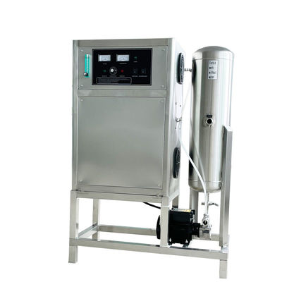 attrezzatura di disinfezione dell'acqua 100g/h, macchina di trattamento delle acque dell'ozono