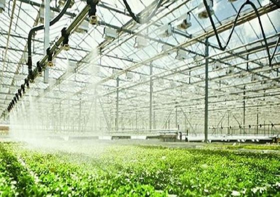 900000 sistemi di osmosi inversa di GPD per agricoltura