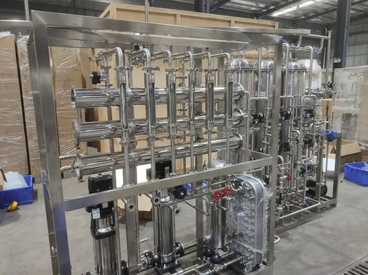 Produzione di acqua 0,25 m3/h Sistema di acqua ultrapura deionizzata EDI per laboratorio