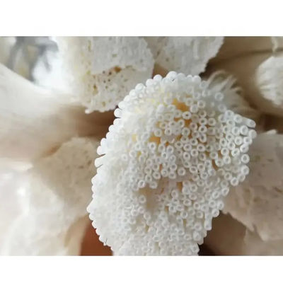Membrane a tenda PVDF MBR idrofili per l'acquacoltura Trattamento delle acque reflue