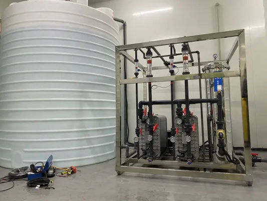 1000Lph doppia fase RO+EDI per filtrazione dell'acqua industriale