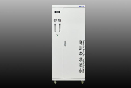 1T/H Commercial Reverse Osmosis Water Plant con progettazione pre-ingegnerizzata