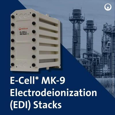 E-Cell MK-9 EDI Stack per la Produzione di Acqua ad Alta Purezza con Intervallo di Flusso da 18,5-44,0 GPM e Nessuna Rigenerazione Chimica in Acciaio Inossidabile