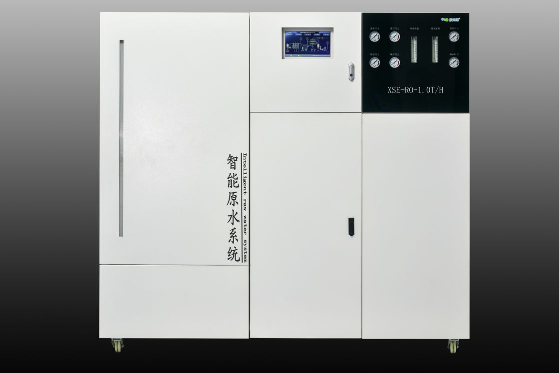 1T/H Commercial Reverse Osmosis Water Plant con progettazione pre-ingegnerizzata