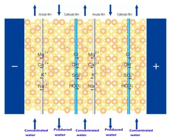 Purificatore 600 RO Filtrazione EDI Acqua ultrapura Sistema di impianto di osmosi inversa industriale 0